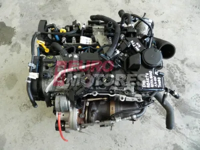 Punto EVO
